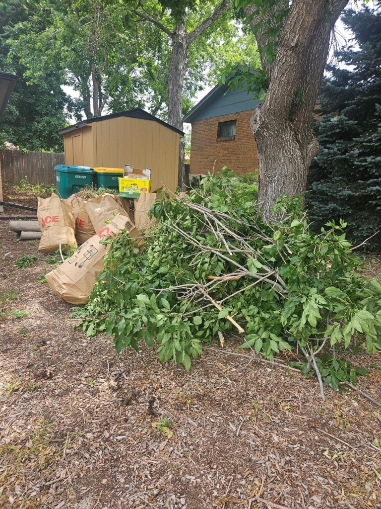 Yard waste removal  rockwall
