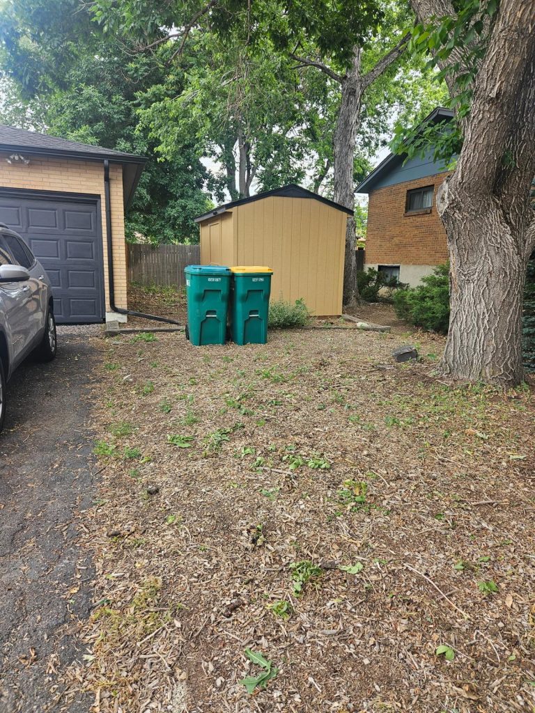 A clean yard