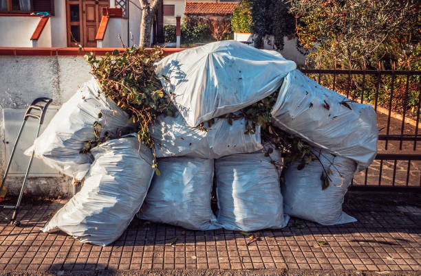 Yard Waste Removal in Denton: When Your Yard Has Other Plans
