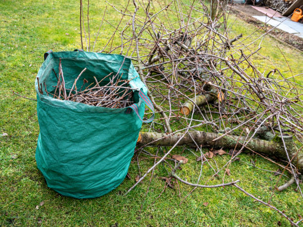 Yard Waste Removal in Denton