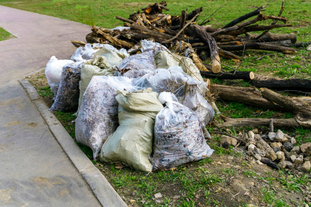 Yard waste removal in Rockwall: local crew loading tree branches into truck
