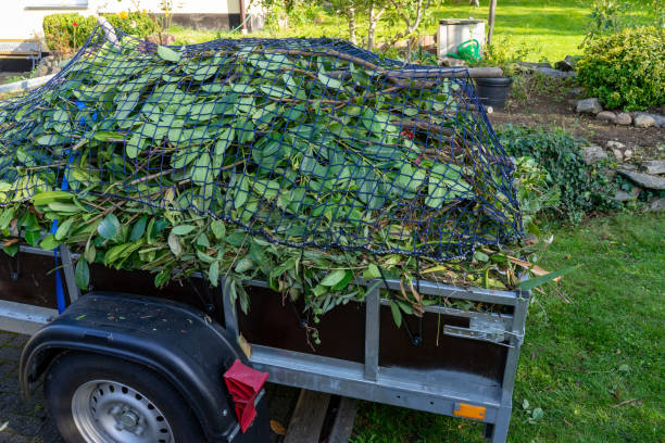 100% Professional Yard Waste Removal in Tarrant County: DIY vs. Pro Guide
