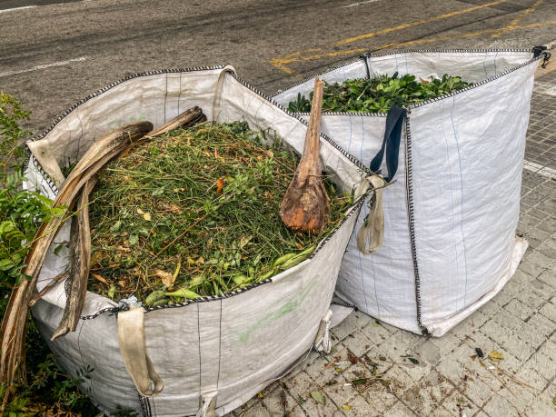 Yard waste removal in Tarrant County truck hauling brush and tree debris