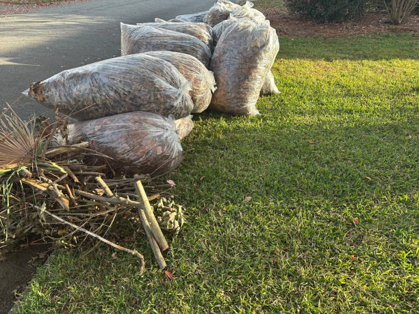 Choosing a Yard Waste Removal in Collin County