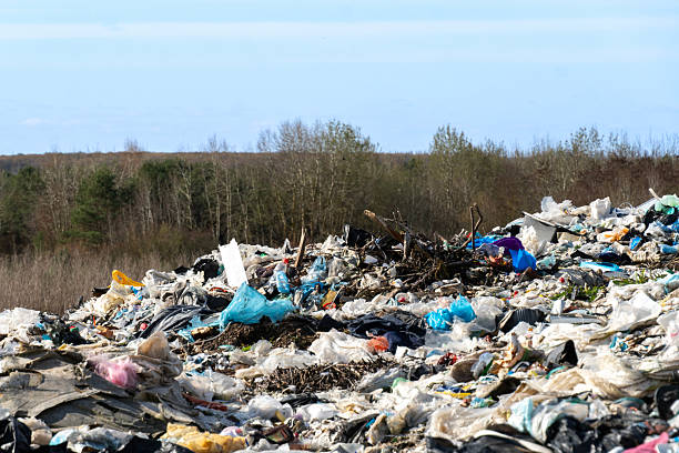 construction waste removal in Rockwall