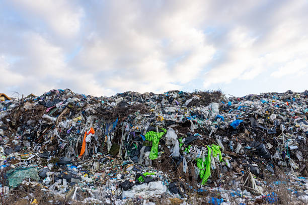 Everything you need to know about 100% Professional Construction Waste Removal in Dallas