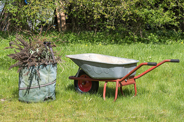 before and after backyard hauling in Denton