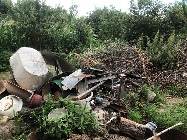 Yard Waste Removal 