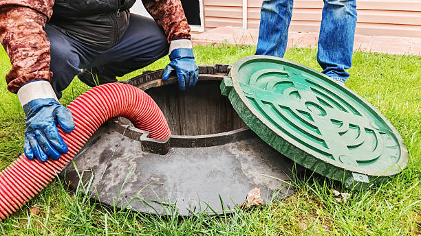 Yard Waste Removal Near Me in Denton